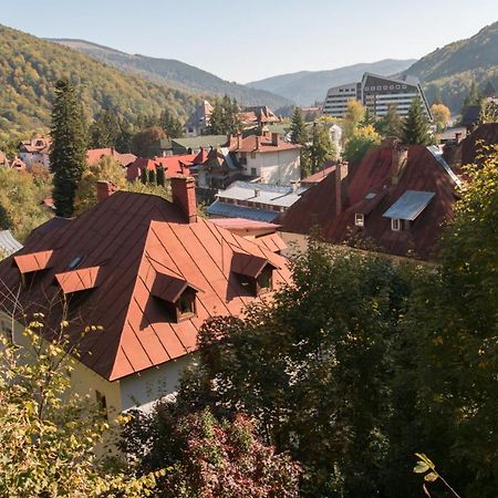 Apartament Rustic Regal Sinaia Zewnętrze zdjęcie