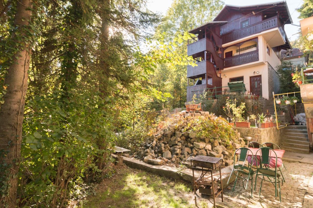 Apartament Rustic Regal Sinaia Zewnętrze zdjęcie