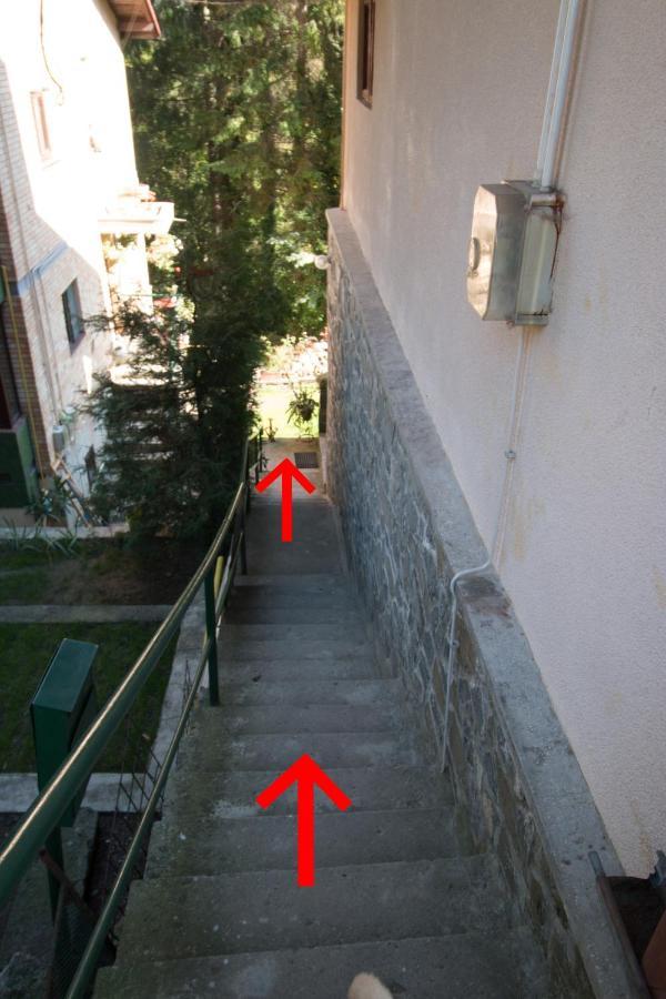 Apartament Rustic Regal Sinaia Zewnętrze zdjęcie