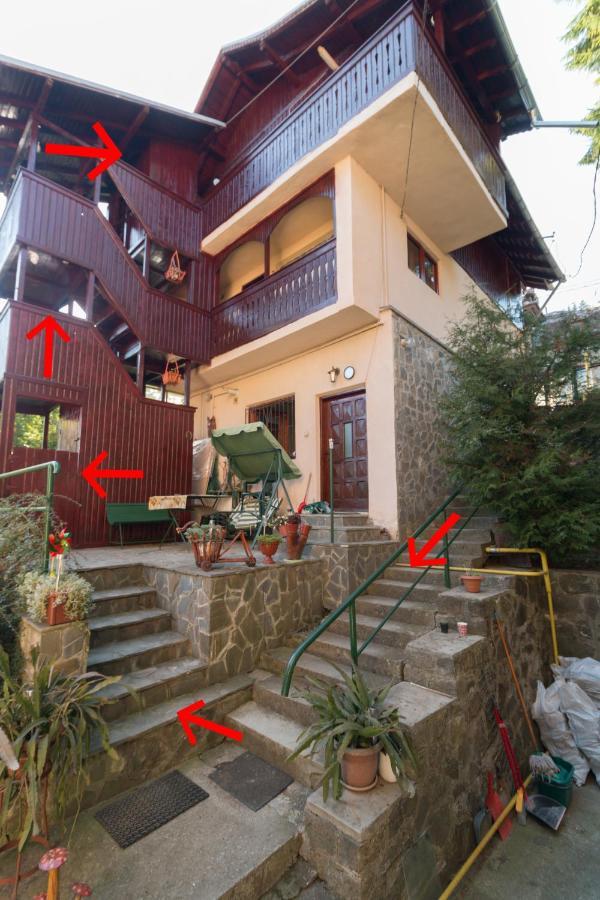 Apartament Rustic Regal Sinaia Zewnętrze zdjęcie